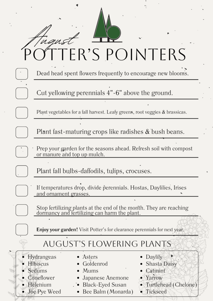 potter's nurseries, kingston garden, Potter's poiinters