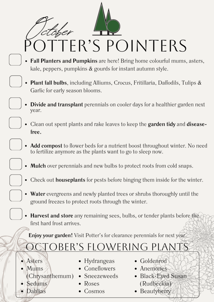 potter's pointers, potters nurseries