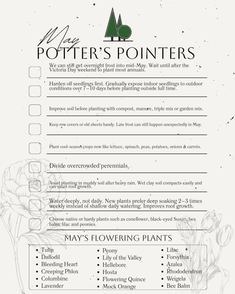 potter's pointers